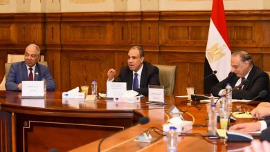 صورة وزير الخارجية يؤكد دعم الأمن الإقليمي وتعزيز التعاون مع الشيوخ