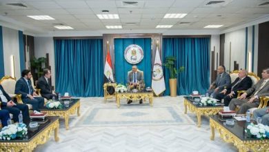 صورة مباحثات مصرية أرمينية لتعزيز التعاون الصناعي والتكنولوجي