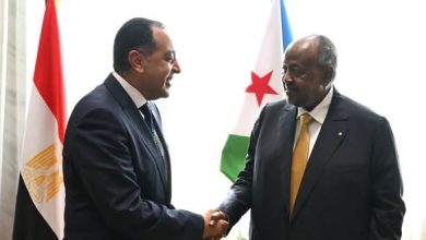 صورة مدبولي يؤكد لرئيس جيبوتي حرص مصر على تعزيز الشراكة الاستراتيجية بين البلدين