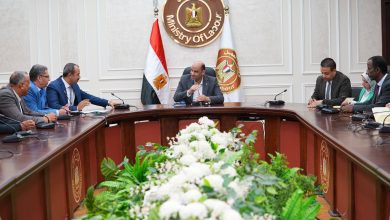 صورة وزير العمل يوجه بتكثيف التدريب المهني وتعزيز الاستقرار داخل مواقع الإنتاج بالشرقية