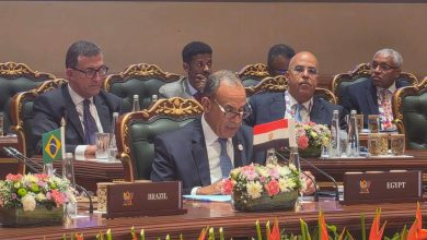 صورة د. عبد العاطي يؤكد في البريكس: تعزيز التعاون الدولي ومواجهة التحديات العالمية