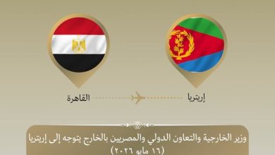 صورة وزيرا الخارجية والنقل يتوجهان إلى أسمرة لتعزيز التعاون المصري الإريتري ودفع الشراكة الاقتصادية