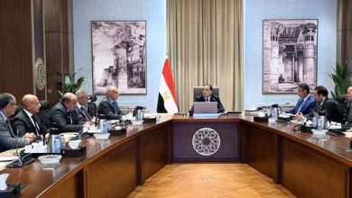 صورة رئيس الوزراء يبحث تطوير صناعة السكر في مصر وخطط رفع الإنتاجية وتعزيز الاكتفاء الذاتي