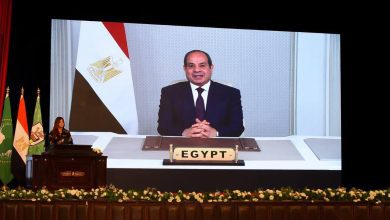 صورة وزارتا الخارجية والتعليم العالي تحتفلان بـ«يوم أفريقيا» من جامعة القاهرة بحضور دبلوماسي رفيع
