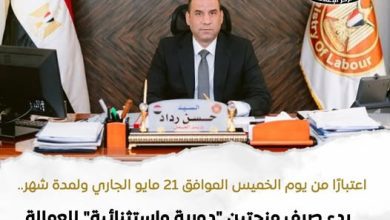 صورة العمل: صرف منحتي عيد الأضحى والدعم الاستثنائي للعمالة غير المنتظمة بإجمالي 767.6 مليون جنيه