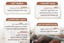 صورة إستعدادات شاملة لعيد الأضحى.. وفرة في اللحوم والسلع وتوسّع في منافذ البيع
