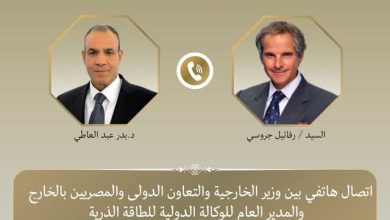 صورة وزير الخارجية يبحث مع جروسي تعزيز عدم الانتشار النووي ومفاوضات إيران