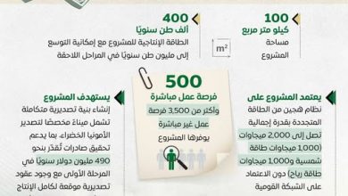 صورة رأس بناس تستعد لمشروع جديد يعزز ريادة مصر في إنتاج الأمونيا الخضراء