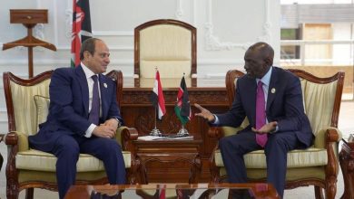 صورة السيسي يبحث مع رئيس كينيا تعزيز الشراكة الاستراتيجية والتعاون في الموارد المائية والسودان