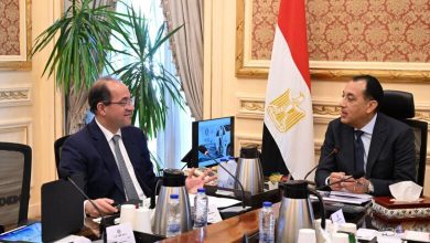 صورة «الحكومة» تسرّع التحول للسيارات الكهربائية.. خطة لتحديث أسطول الدولة وترشيد استهلاك الوقود