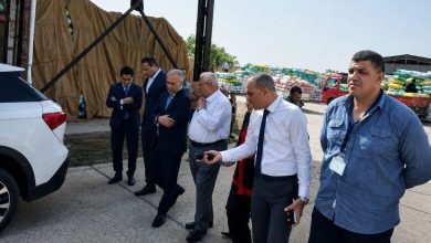 صورة البنك الزراعي المصري يستقبل 464 ألف طن قمح محلي خلال شهر بقيمة 7.24 مليار جنيه