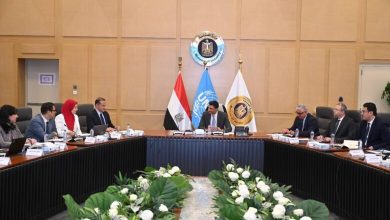 صورة وزير الصناعة يبحث مع “اليونيدو” مستجدات برنامج الشراكة القُطرية لمصر لتعزيز التحول الصناعي ورؤية 2030