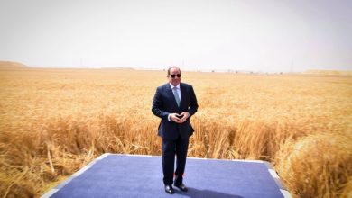 صورة السيسي يفتتح مشروع الدلتا الجديدة: ملحمة تنموية بتكلفة تقترب من 800 مليار جنيه