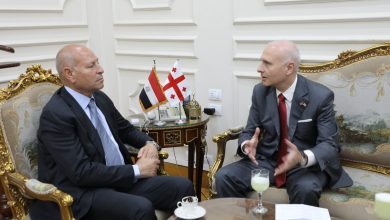 صورة محافظ القاهرة وسفير جورجيا يبحثان تفعيل إتفاقية الصداقة مع تبليسي