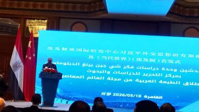 صورة الصين : شراكة استراتيجية مع العالم العربي لدعم السلام والتنمية وإصلاح النظام الدولي