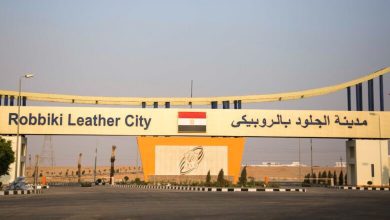 صورة «القاهرة للاستثمار» تواصل تلقي طلبات الطرح الثالث بمدينة الجلود بالروبيكي حتى 25 مايو