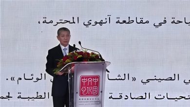 صورة السفير الصيني بالقاهرة: الذكرى السبعون للعلاقات المصرية الصينية نقطة انطلاق جديدة للتعاون