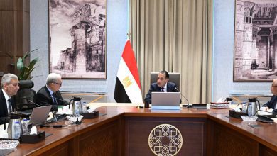 صورة مدبولي يتابع خطة تطوير «القابضة للأدوية» لتعزيز التصنيع والتوسع في التصدير