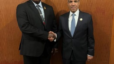 صورة وزير الخارجية ونظيره بجامبيا يبحثان تعزيز التعاون الاقتصادي والتنسيق بشأن قضايا أفريقيا