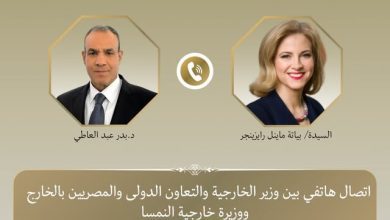 صورة خلال اتصال هاتفي.. مصر والنمسا تؤكدان أهمية الدبلوماسية في تحقيق الاستقرار