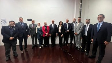 صورة د. بدر عبد العاطي يؤكد من سول : الجاليات المصرية بالخارج ركيزة للقوة الناعمة للدولة