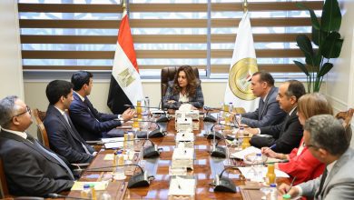 صورة وزير التنمية المحلية  تبحث مع منظمة المدن العربية تعزيز التعاون في التنمية المحلية والبيئة