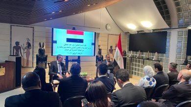 صورة وزير الخارجية من طوكيو: المصريون بالخارج قوة ناعمة وشريك أساسي في دعم الدولة