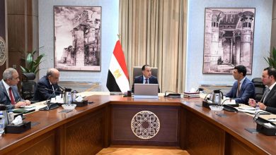 صورة مدبولي يوجه بالإسراع في إطلاق مبادرة لتركيب ألواح الطاقة الشمسية بالمصانع والمنازل