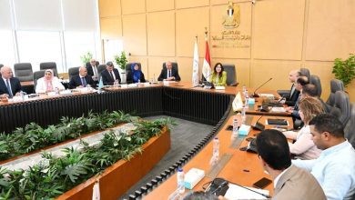 صورة الإسكان: 10315 مشروعًا ضمن «حياة كريمة» لتطوير البنية الأساسية بالريف المصري