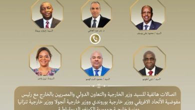 صورة وزير الخارجية  يبحث مع قادة الاتحاد الأفريقي تعزيز الأمن الصحي والتكامل القاري