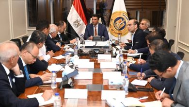 صورة وزير الصناعة : 550 مليون دولار استثمارات صينية جديدة لتصنيع إطارات النقل الثقيل في مصر