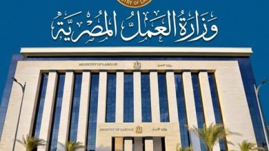 صورة وزارة العمل تحذر من إعلانات التوظيف الوهمية بالخارج وتؤكد: التقديم عبر القنوات الرسمية فقط