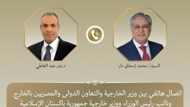 صورة وزير الخارجية ونائب رئيس وزراء باكستان يبحثان تعزيز العلاقات وملف التهدئة الإقليمية