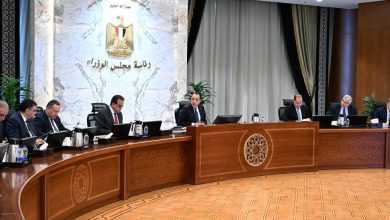 صورة مدبولي يتابع توافر الأدوية ويؤكد انتظام سداد مستحقات الشركات