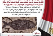 صورة إكتشاف مصري عالمي يكشف أسرار تعافي الحياة البحرية بعد انقراض الديناصورات