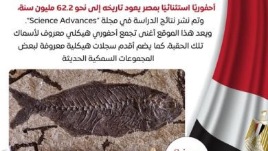 صورة إكتشاف مصري عالمي يكشف أسرار تعافي الحياة البحرية بعد انقراض الديناصورات