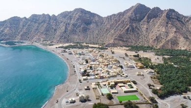 صورة مسندم تعزز موقعها كمحور واعد للأمن الغذائي ضمن رؤية عُمان 2040