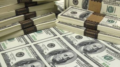 صورة إحتياطي النقد الأجنبي المصري يرتفع إلى 53.134 مليار دولار بنهاية مايو