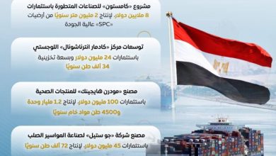 صورة المركز الاعلامي للحكومة : إيرادات المنطقة الاقتصادية لقناة السويس ترتفع 3 أضعاف خلال 8 سنوات