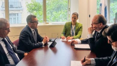 صورة وزير التخطيط يستعرض ملامح المرحلة الثانية للتعاون مع OECD